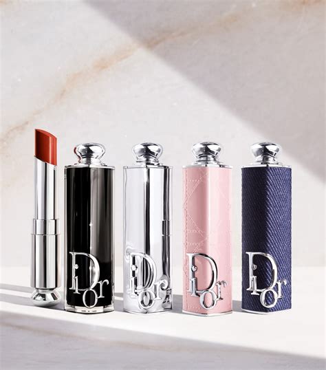 christian dior makeup case|dior lipstick collection case.